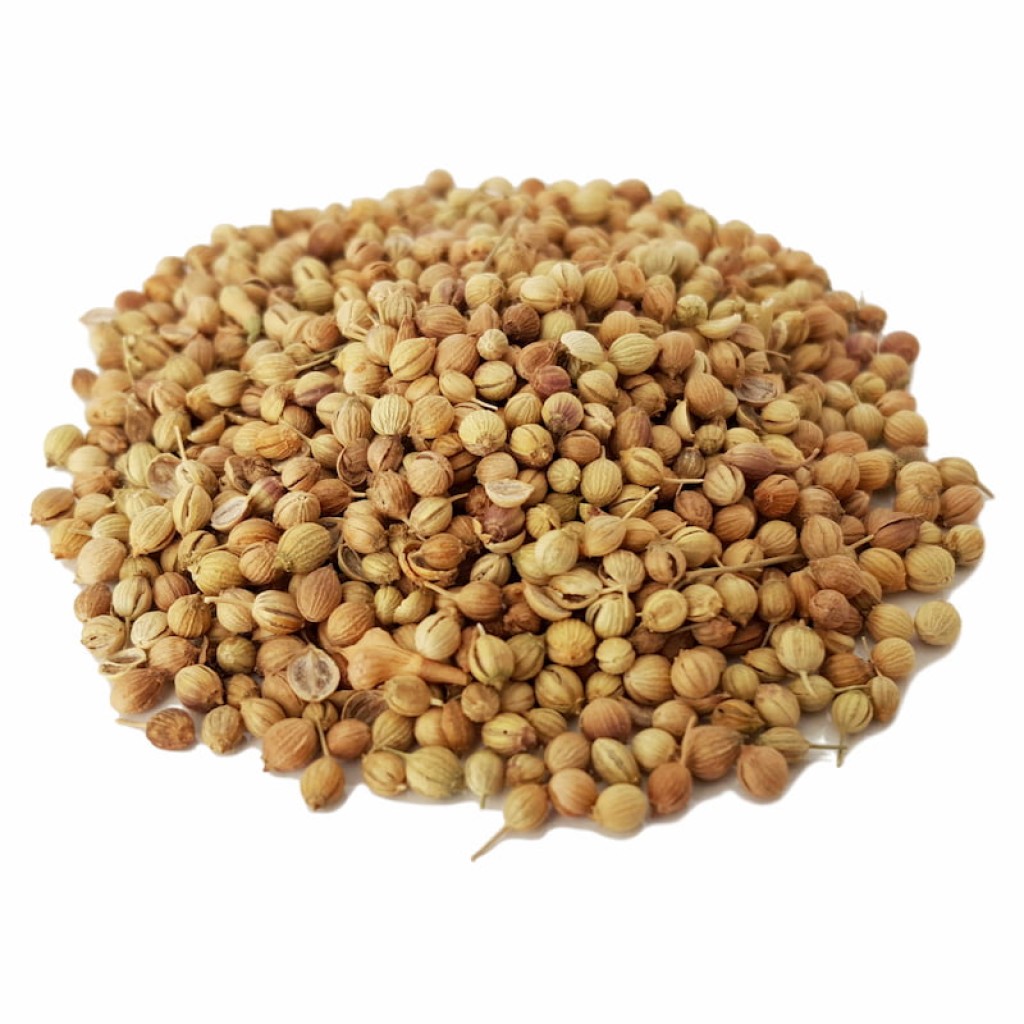  عکس تخم گشنیز